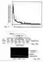 Fig. 13 - Reactive animation