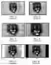 Fig. 02 - System for gracefully aging inactive areas of a video display