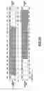 Fig. 45 - Signal processing method and apparatus and recording medium