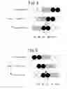 Fig. 07 - Noise reducing apparatus and noise reducing method