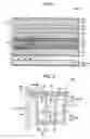 Fig. 07 - Liquid crystal device and electronic apparatus