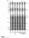Fig. 02 - Active matrix liquid crystal display device