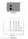 Fig. 02 - Method and apparatus for interactive hyperspectral image subtraction