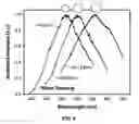 Fig. 06 - Broadband surface plasmon jets: direct observation of plasmon propagation for application to sensors and optical communications in microscale and nanoscale circuitry