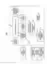 Fig. 02 - Electronic document management system, image forming device, printing medium, method of managing electronic document, and program