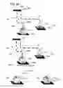 Fig. 22 - Display Technique for Displaying Default Printer Information of a Print Network System