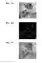 Fig. 06 - METHOD AND APPARATUS FOR FORMING IMAGE USING EDGE INFORMATION OF IMAGE