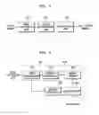 Fig. 07 - METHOD AND APPARATUS FOR FORMING IMAGE USING EDGE INFORMATION OF IMAGE