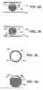 Fig. 03 - Electrophoretic caps prepared from encapsulated electrophoretic particles