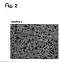 Fig. 03 - Multilayer ceramic electronic device and method of production of the same