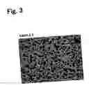 Fig. 04 - Multilayer ceramic electronic device and method of production of the same