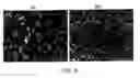 Fig. 07 - Method for manufacturing dielectric ceramic powder, and multilayer ceramic capacitor obtained by using the ceramic powder