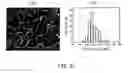 Fig. 10 - Method for manufacturing dielectric ceramic powder, and multilayer ceramic capacitor obtained by using the ceramic powder