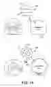 Fig. 15 - Lighting and display apparatus