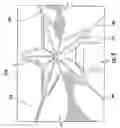 Fig. 08 - Light surround