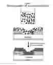 Fig. 11 - Nanocrystal quantum dot memory devices