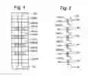 Fig. 02 - Systems for erasing non-volatile memory using individual verification and additional erasing of subsets of memory cells