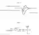 Fig. 04 - Sense amplifier overdriving circuit and semiconductor device using the same