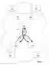 Fig. 06 - Building multipoint-to-multipoint label switch paths
