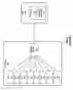 Fig. 03 - Synchronization of time stamps of peer devices in a communication node