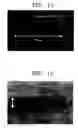 Fig. 06 - Method for forming quantum dots by alternate growth process