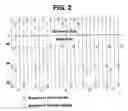Fig. 03 - Method for scalably encoding and decoding video signal