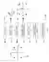 Fig. 06 - Subcarrier adaptive thresholding