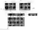 Fig. 01 - Method and apparatus for segmented code correlation