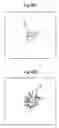 Fig. 09 - Method of detecting specific polymer crystal