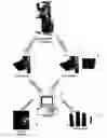 Fig. 01 - Methods and systems for analyzing bone conditions using mammography device