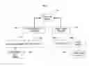 Fig. 04 - Analysis, secure access to, and transmission of array images