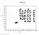 Fig. 14 - Analysis, secure access to, and transmission of array images