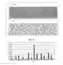Fig. 15 - Analysis, secure access to, and transmission of array images