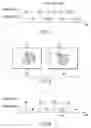 Fig. 04 - Image processing apparatus and image processing method