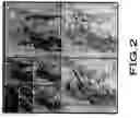 Fig. 03 - Image-comparing apparatus, image-comparing method, image-retrieving apparatus and image-retrieving method