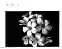 Fig. 04 - Image enhancement device