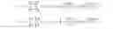 Fig. 03 - Method of evaluating quality of image and use thereof