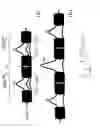Fig. 02 - Dispersion compensator