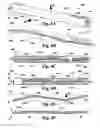 Fig. 05 - Helical fiber optic mode scrambler