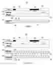 Fig. 02 - Use of multiple related timelines