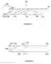 Fig. 04 - Use of multiple related timelines