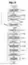 Fig. 12 - Method and apparatus for controlling imaging direction and magnification of camera
