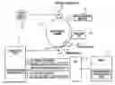 Fig. 01 - Image forming apparatus