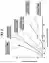 Fig. 07 - Image forming apparatus
