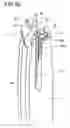 Fig. 55 - Multi-refill writing instrument