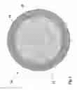 Fig. 04 - Rotor for a rotating machine, in particular a steam turbine