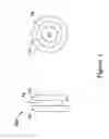 Fig. 06 - BRACKET FOR PUMP AND MOTOR ASSEMBLY