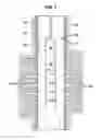 Fig. 02 - Tandem motors