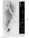 Fig. 02 - Nanoparticles and methods of manufacturing nanoparticles for electronic and non-electronic applications