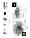 Fig. 04 - Nanoparticles and methods of manufacturing nanoparticles for electronic and non-electronic applications